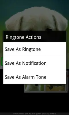 Animal Sounds & Ringtones android App screenshot 0