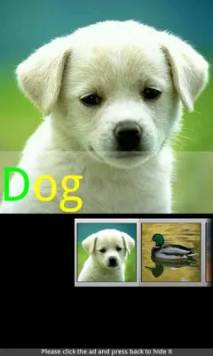 Animal Sounds & Ringtones android App screenshot 3