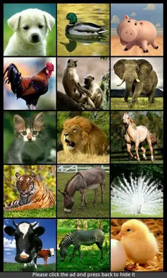 Animal Sounds & Ringtones android App screenshot 4